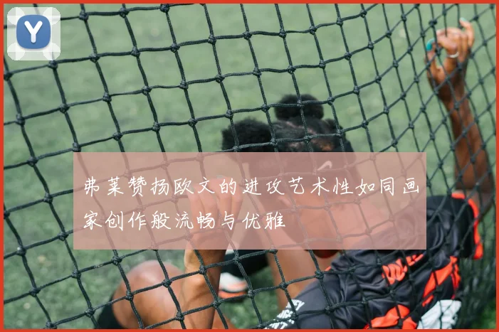 弗莱赞扬欧文的进攻艺术性如同画家创作般流畅与优雅